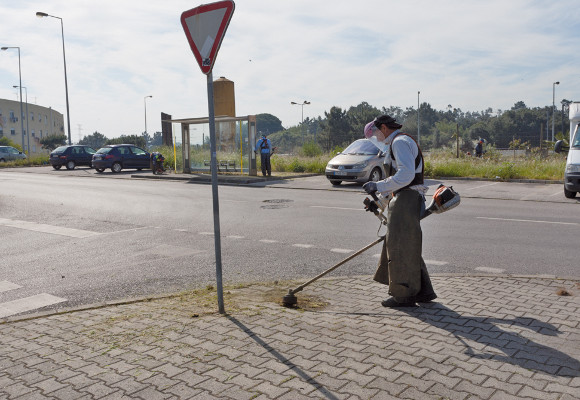 Limpeza de passeios no Fogueteiro e Pinhal Conde da Cunha