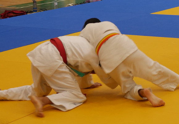 Promoção do Judo nas Escolas
