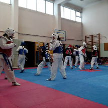 Estágio de TKD no Águias Unidas