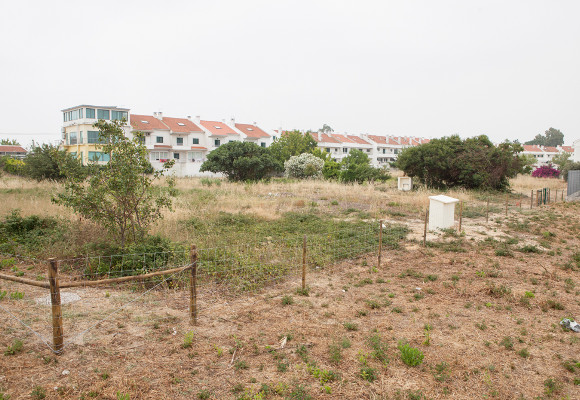 Espaço Agrícola Monte Sião em construção