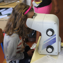 Rastreios Oftalmológicos nas Escolas Básicas
