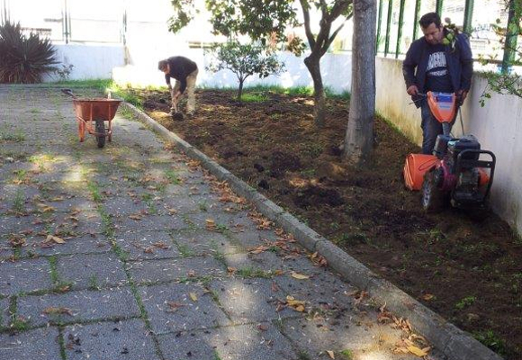 Projeto das Hortas Escolares continua