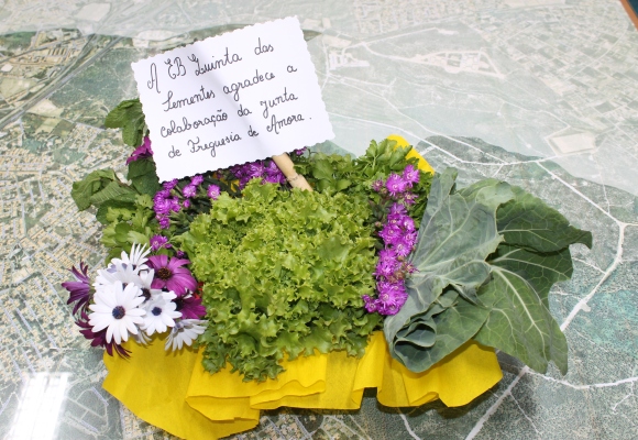 Legumes das Hortas Pedagógicas