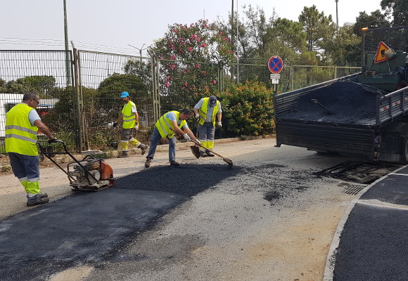 Ação integrada na Quinta do Batateiro e na Quinta da Medideira