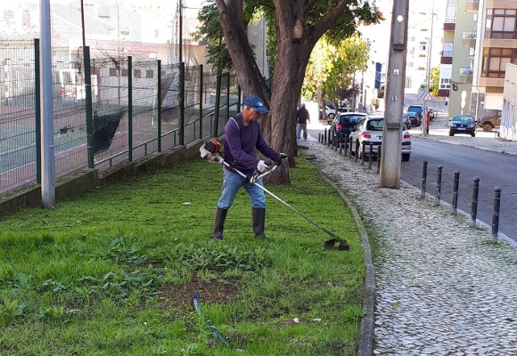 Manutenção de espaço verde na Rua de Bissau