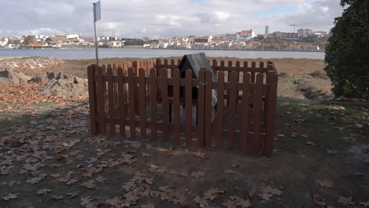Instalados primeiros Abrigos para Gatos na Amora