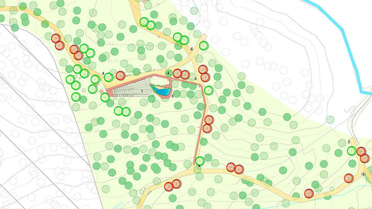 Amora: arrancou 1ª fase do Parque Metropolitano da Biodiversidade 