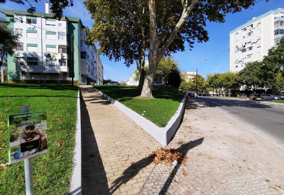Muros e jardins da Quinta da Medideira mais limpos