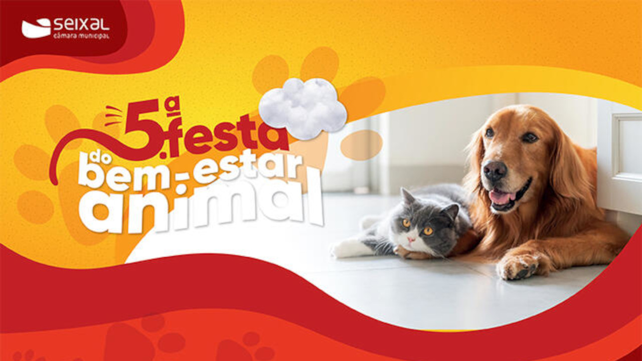 Amora recebe 5ª Edição da Festa do Bem-Estar Animal