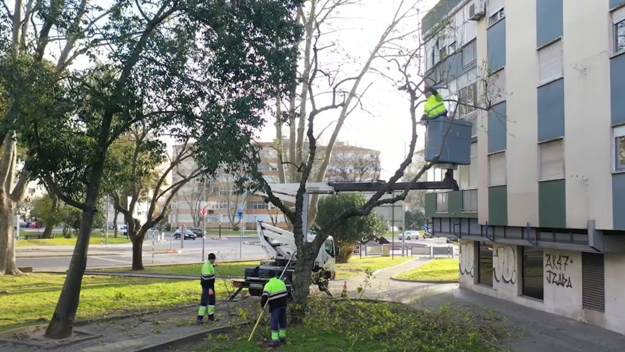 Cruz de Pau alvo de intervenção peça equipa Seixal + Perto