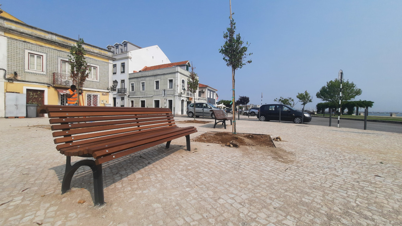 Olaias prometem colorir Praça 5 de Outubro