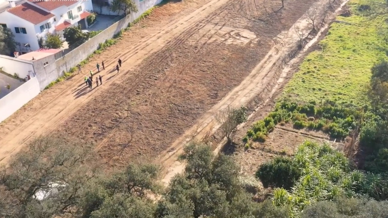 Quinta da Princesa recebe novo espaço agrícola