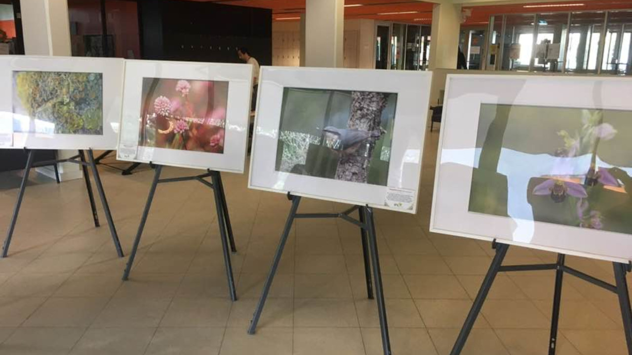 Exposição de Fotografia sobre Biodiversidade do IPS chega à Amora