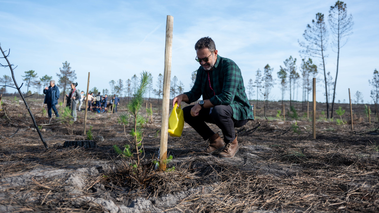 Reflorestação no Parque da Biodiversidade celebra o Dia da Floresta Autóctone