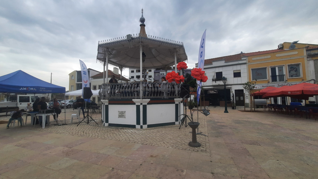 Amora assinala 31º aniversário com espetáculos e exposições