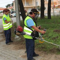 Desmatação