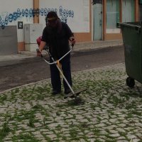 Limpeza de Ervas