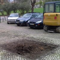 Extração de Raizes