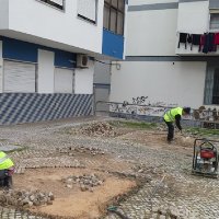 Remoção de Raizes