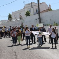 7ª Edição do Festibandas