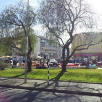 Mostra de Antiguidades, Artes e Artesanato de Amora