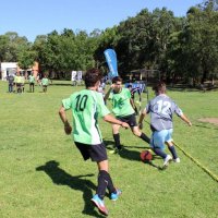 Áreas de Participação 2015