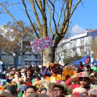 Desfile de Carnaval 2015