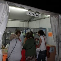 Festas Populares Cidade de Amora 2015