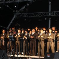Festas Populares Cidade de Amora 2015