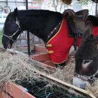 2ª Feira do Fumeiro