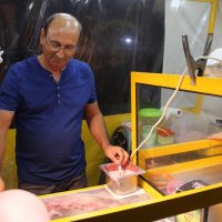 4º Dia das Festas
