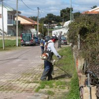 Desmatação e limpeza de passeios 