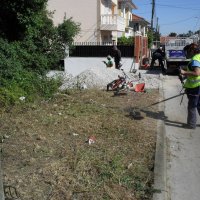 Desmatação e limpeza 