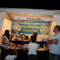 Festas Populares de Amora 2017
