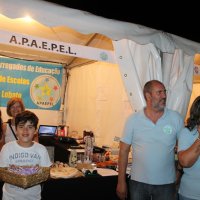 Festas Populares de Amora 2017