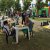 Agita Seixal 2017