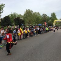 XV Estafeta Escolar 2018