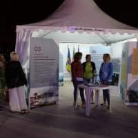 Stands e Feirantes