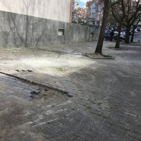 Colocação de lajeta 