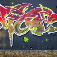 MOSA 2018