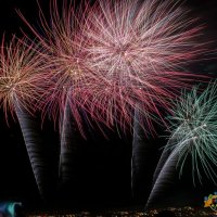  5º Dia das Festas de Amora