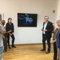 Exposição de Margarida Lopes