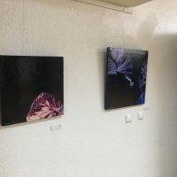 Exposição de Margarida Lopes