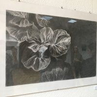 Exposição de Margarida Lopes