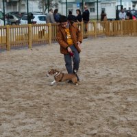 Inauguração do Parque Canino