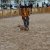 Inauguração do Parque Canino