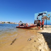10.ª Edição do Triatlo de Amora