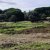 Parque agrícola na Quinta da Princesa