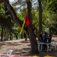 Almoço comemorativo da Independência da Guiné-Bissau 