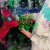Exposição de Presépios de Natal 2024
